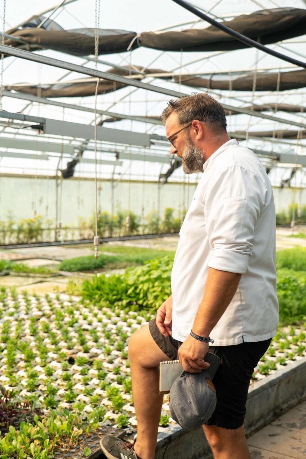 Georg Bauch walking through a greenhouse of young herbs